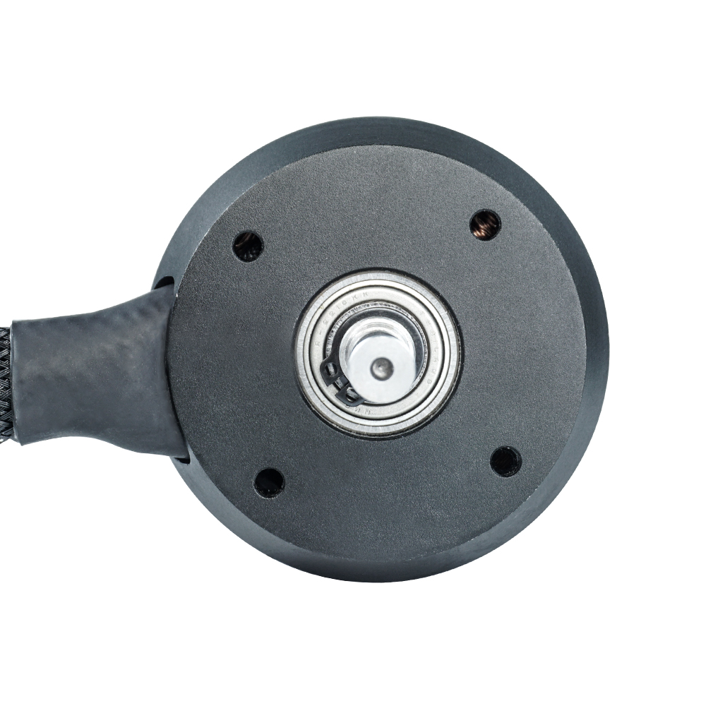 Flipsky Sensored Outrunner Bor - 63100 Brushless Motor 140Kv recensie en prijs